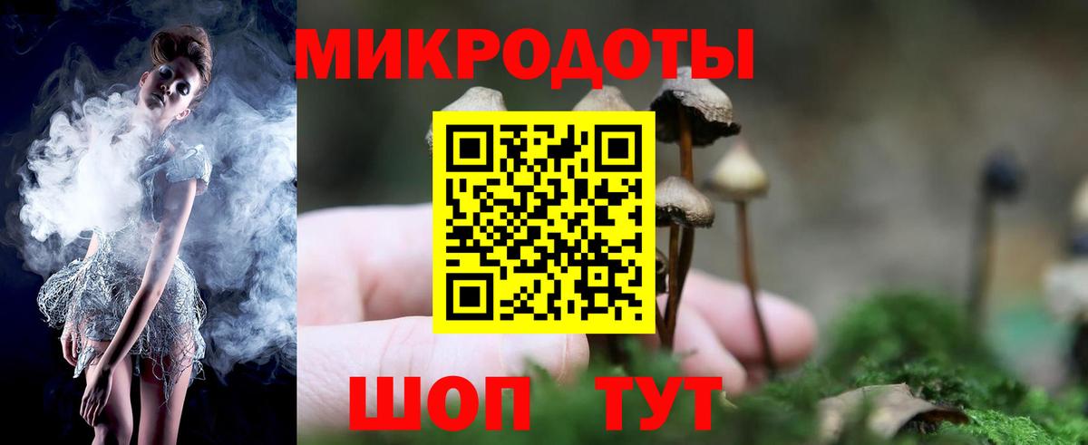 Кропоткин  Псилоцибиновые грибы Psilocybe  дарнет шоп  Вход с VPN 